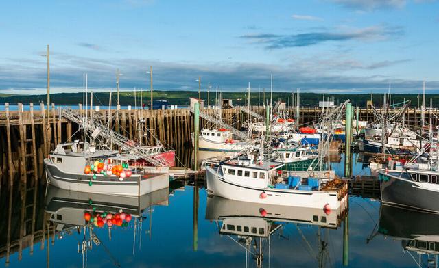 Digby-image