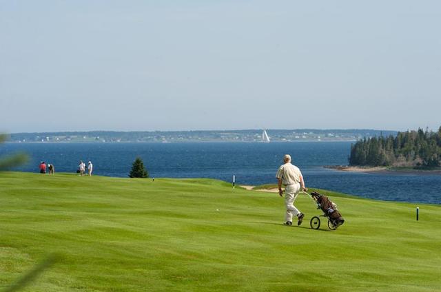 Southern Shore-image